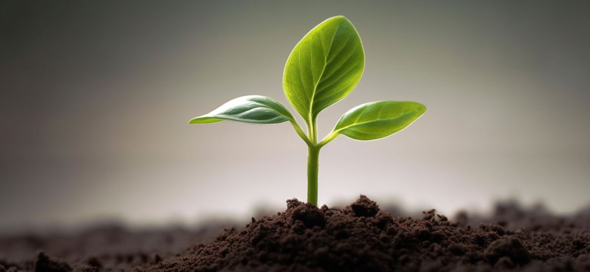 Guide-to-investing-in-property-for-self-managed-superannuation-funds-in-Australia