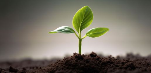 Guide-to-investing-in-property-for-self-managed-superannuation-funds-in-Australia